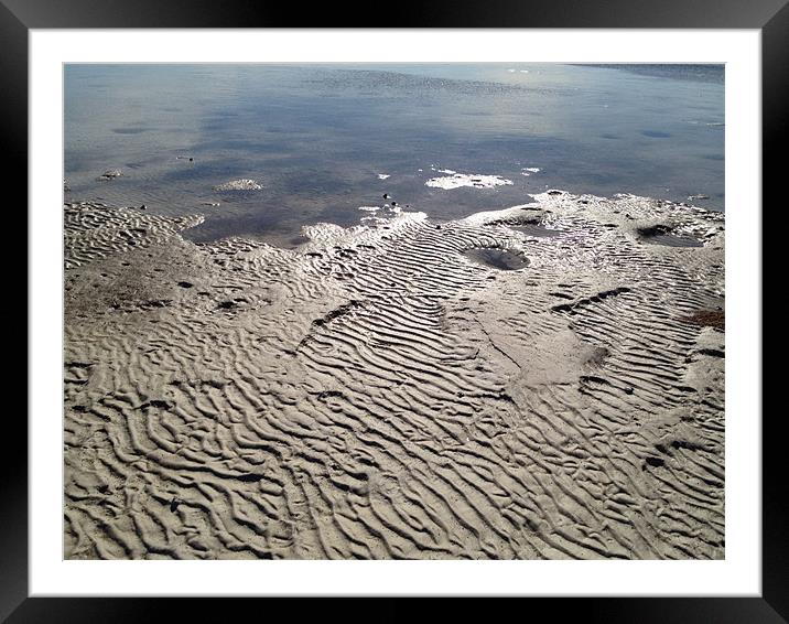 Dry Bay Sea Floor Framed Mounted Print by John Marzlak