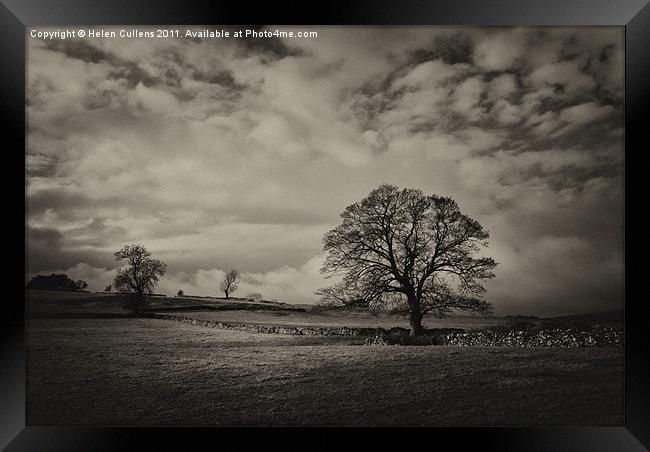 WINTER LIGHT Framed Print by Helen Cullens