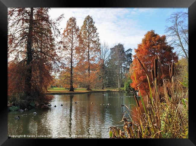 AUTUMN AT WISLEY Framed Print by Helen Cullens