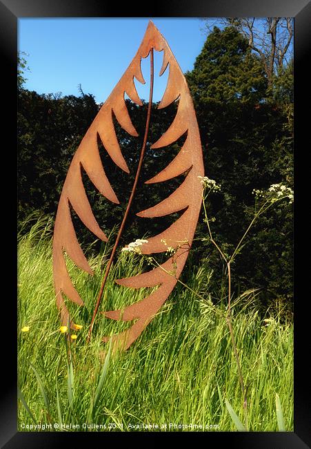 LEAF IN THE MEADOW Framed Print by Helen Cullens