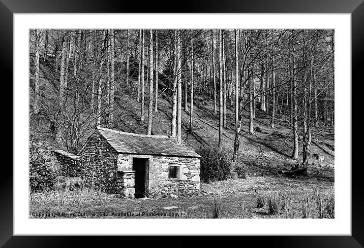 BOTHY Framed Mounted Print by Helen Cullens