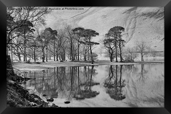 THE BUTTERMERE PINES Framed Print by Helen Cullens