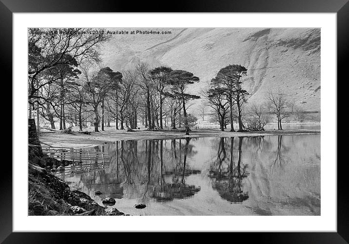 THE BUTTERMERE PINES Framed Mounted Print by Helen Cullens