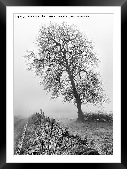 TREE IN THE MIST Framed Mounted Print by Helen Cullens