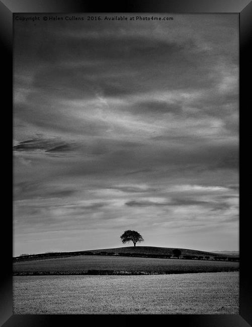 LONESOME TREE                                     Framed Print by Helen Cullens