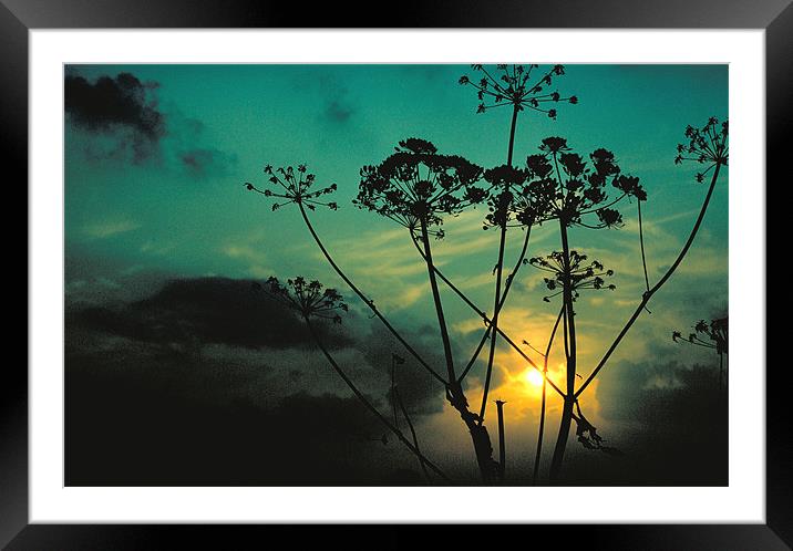 Sunset Framed Mounted Print by Derek Vines