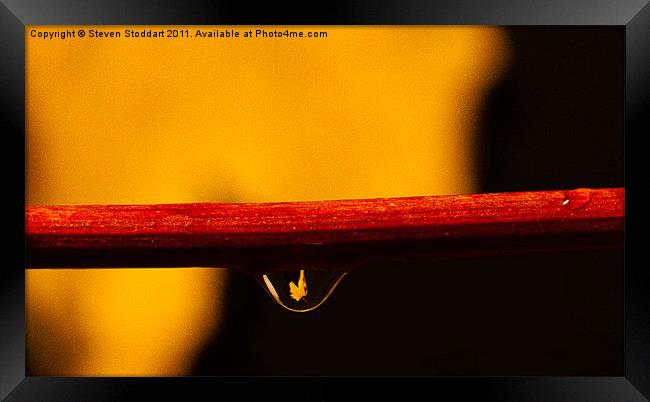 Autumn in a Raindrop Framed Print by Steven Stoddart