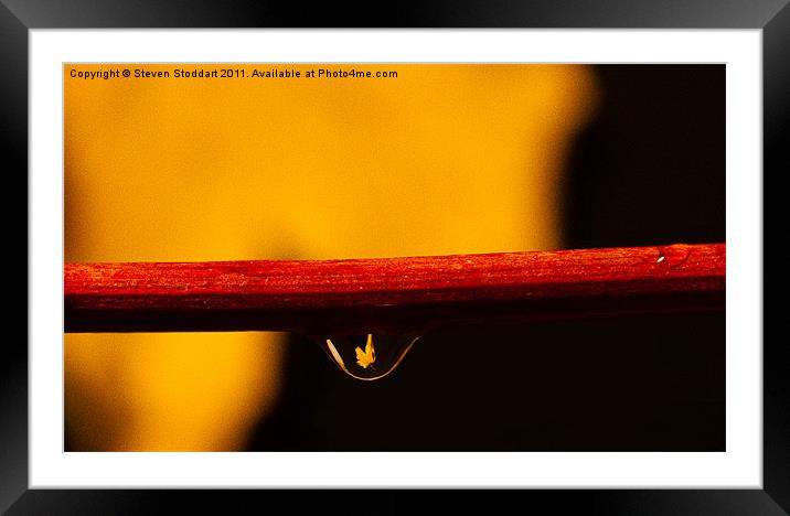 Autumn in a Raindrop Framed Mounted Print by Steven Stoddart