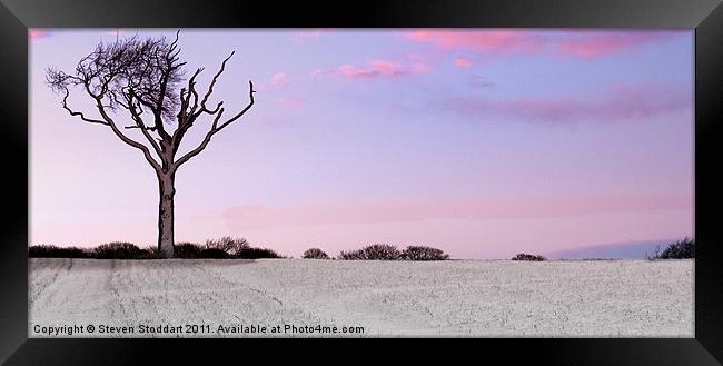 I Stand Alone Framed Print by Steven Stoddart