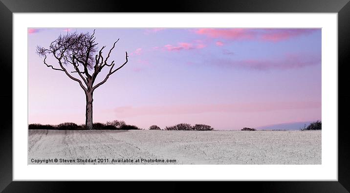 I Stand Alone Framed Mounted Print by Steven Stoddart