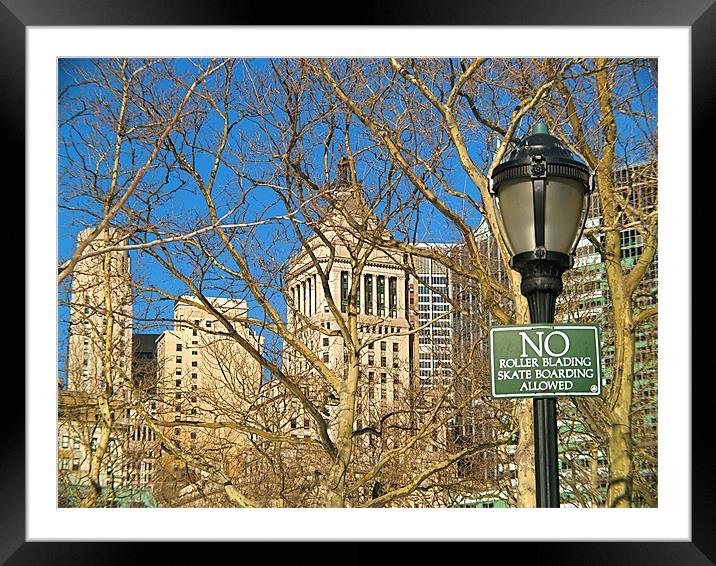 MANHATTAN VIEW THROUGH THE BRANCHES Framed Mounted Print by radoslav rundic