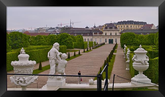 BELVEDERE PALACE GARDENS Framed Print by radoslav rundic