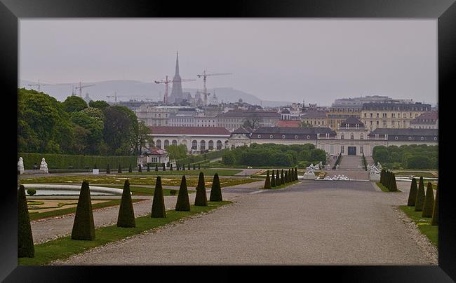 BELVEDERE PALACE GARDENS Framed Print by radoslav rundic