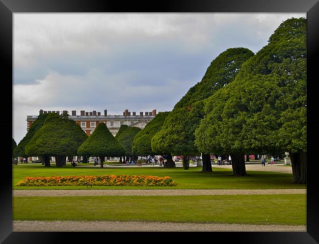 HAMPTON COURT GARDENS Framed Print by radoslav rundic