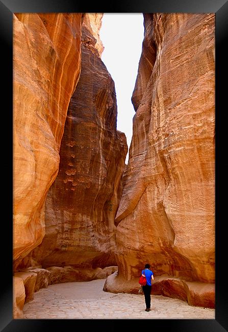 SIQ (looking for Indiana Jones???) Framed Print by radoslav rundic