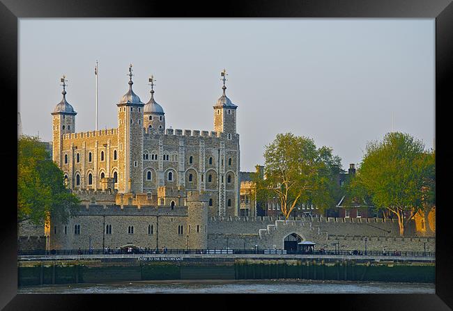 TOWER OF LONDON Framed Print by radoslav rundic