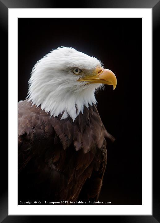 Majestic AMerican Bald Eagle Framed Mounted Print by Karl Thompson