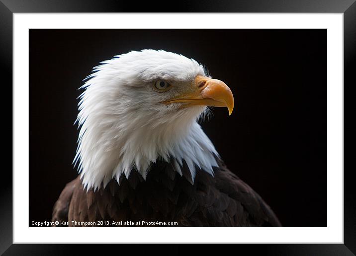 The king of Eagles Framed Mounted Print by Karl Thompson
