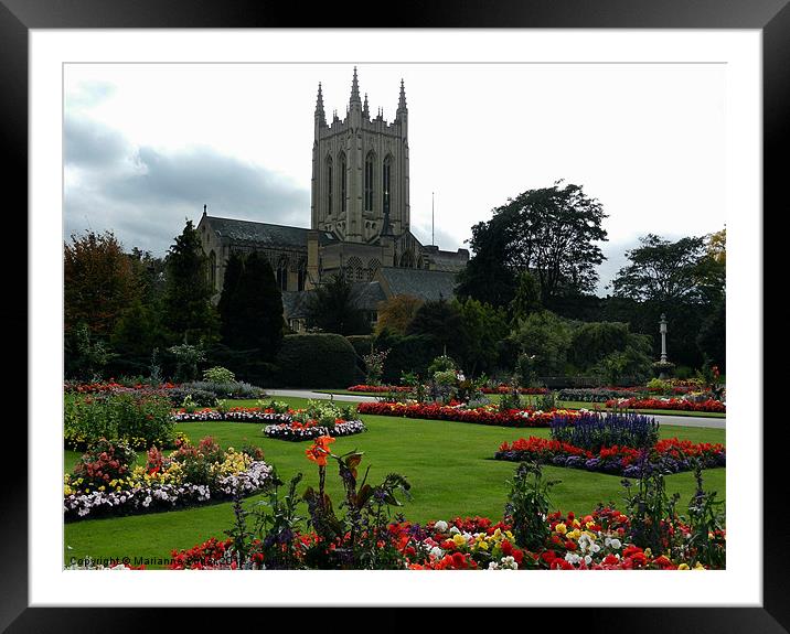 Bury St Edmunds Cathedral Framed Mounted Print by Marianne Fuller