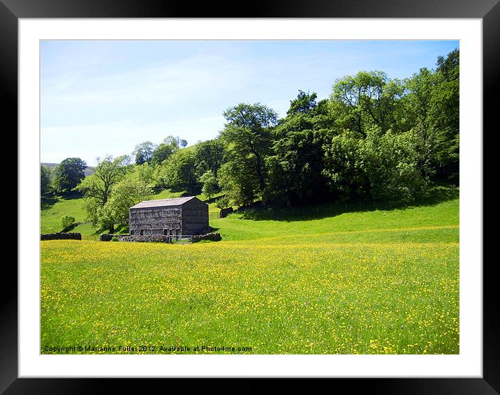 Buttercups and Barn Framed Mounted Print by Marianne Fuller