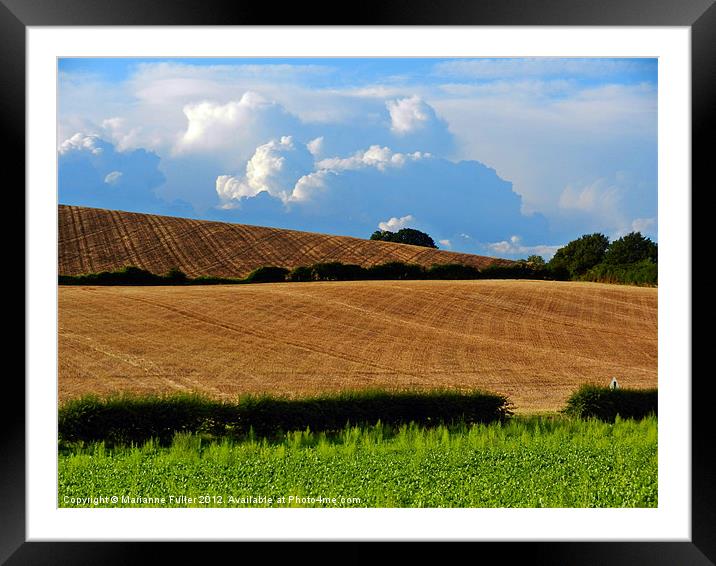 Combed Fields Framed Mounted Print by Marianne Fuller