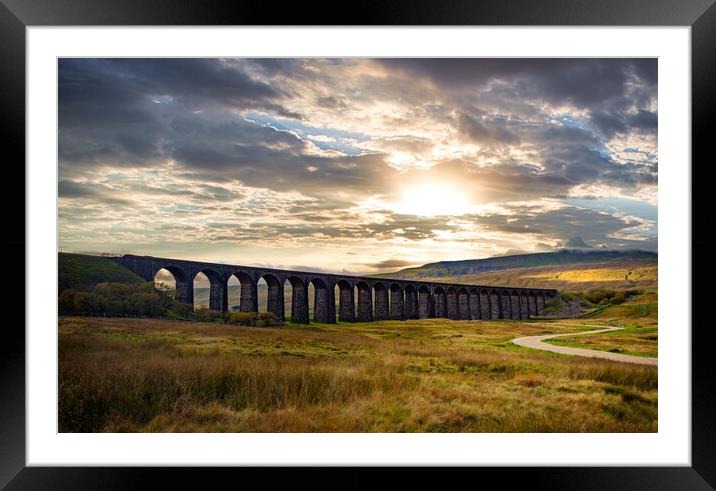 Ribblehead Viaduct 1 Framed Mounted Print by David Martin