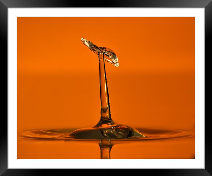 Water droplet  Framed Mounted Print by David Martin