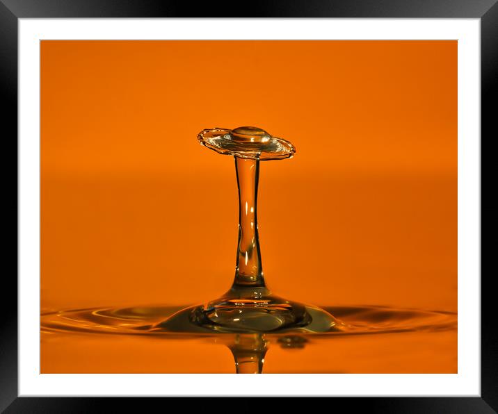 Water droplet skirt Framed Mounted Print by David Martin