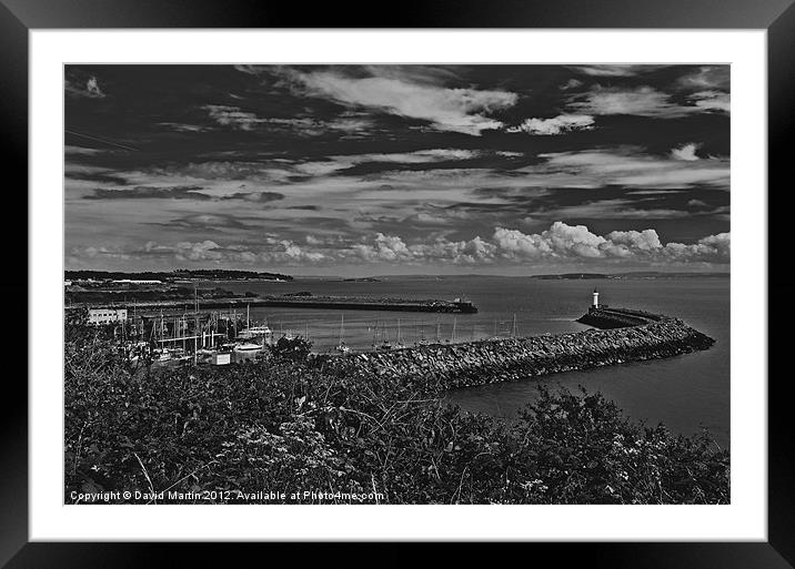 Jackson bay Lighthouse Framed Mounted Print by David Martin