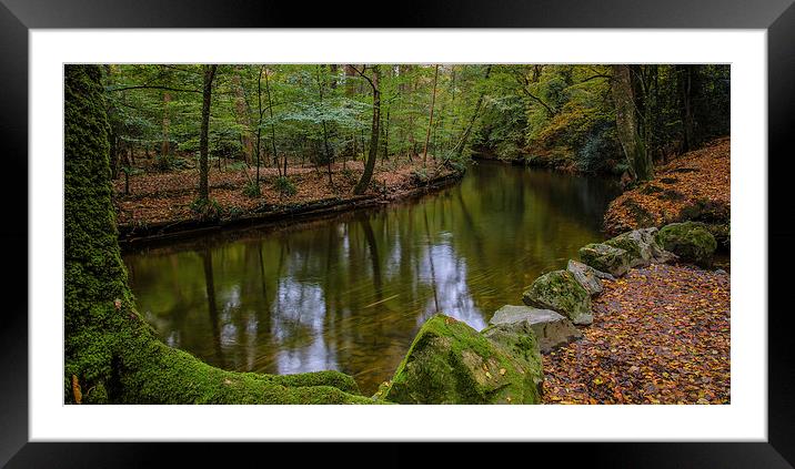  The River Framed Mounted Print by David Martin