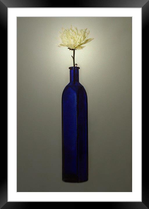  Blue Bottle Framed Mounted Print by David Martin