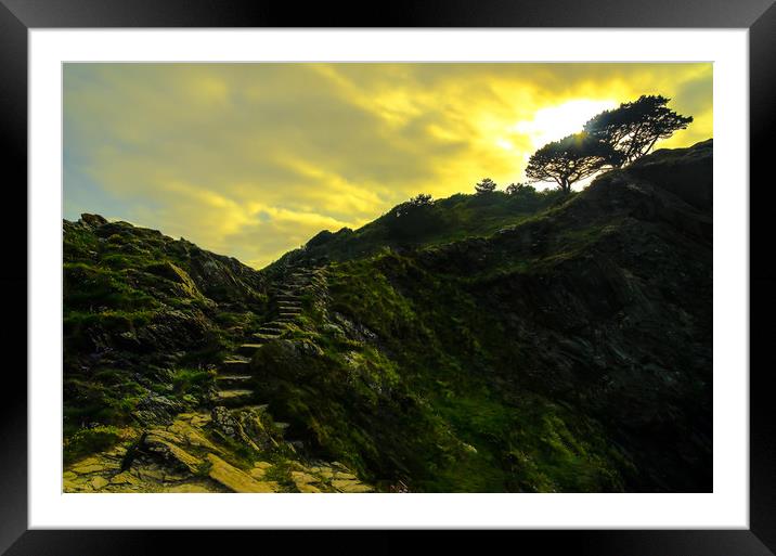 Stairway to Heaven Framed Mounted Print by David Martin