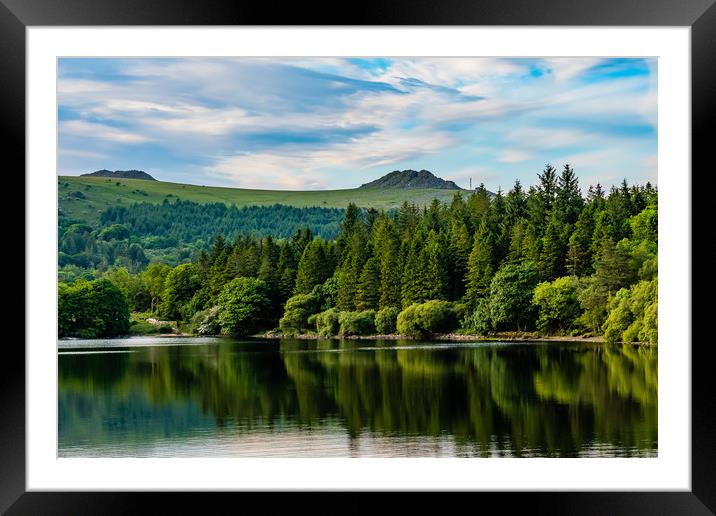 Burrator-5 Framed Mounted Print by David Martin