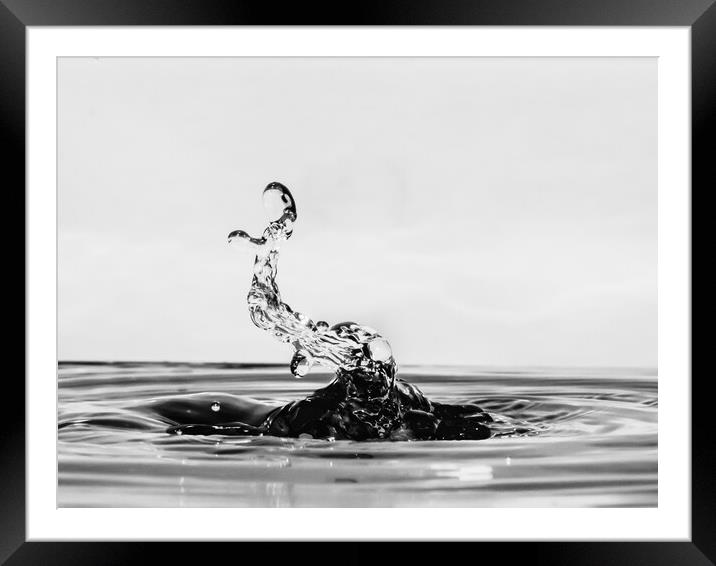 Water Droplet Framed Mounted Print by David Martin