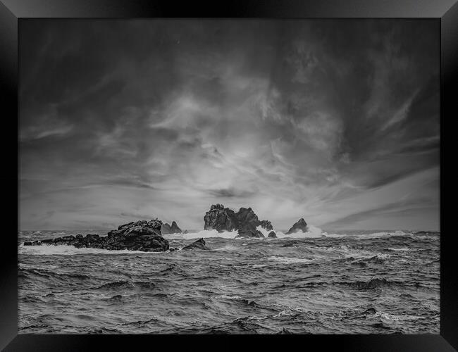 Cormorant Rock Framed Print by David Martin