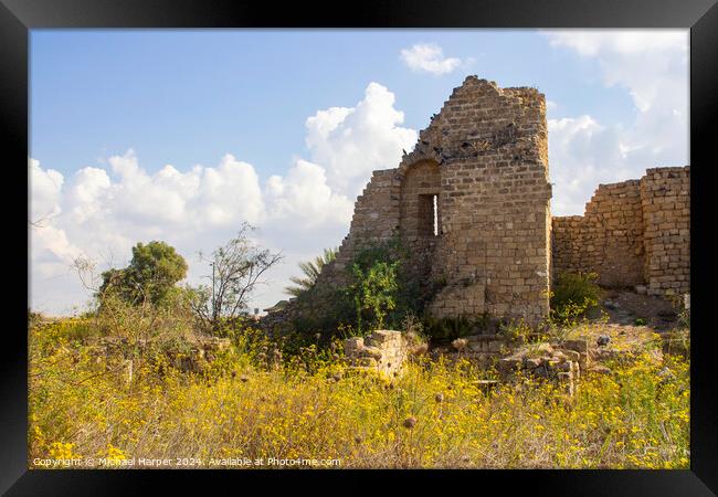 Wilflowers among the Ancient ruins in the historic Roman sttlement in Caeserea Mariti Framed Print by Michael Harper