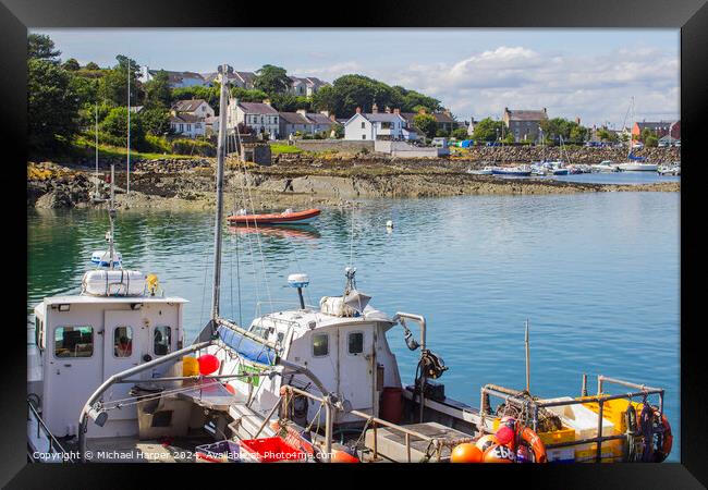 A view of Ardglass village main street from across the harbour  Framed Print by Michael Harper