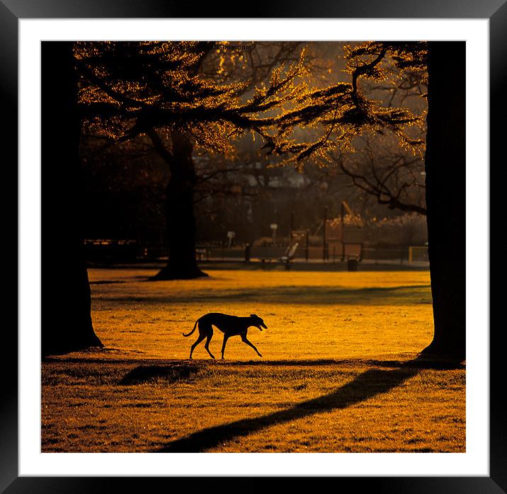 Hound at Tredegar House Framed Mounted Print by Simon Barclay