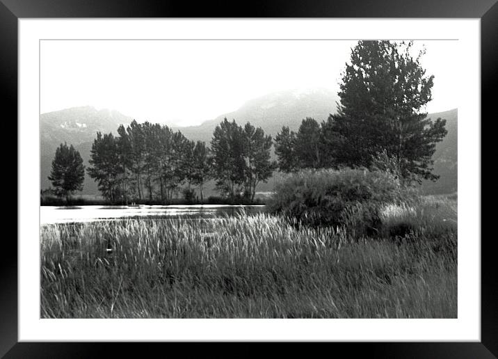 Pond in Montana Framed Mounted Print by Larry Stolle