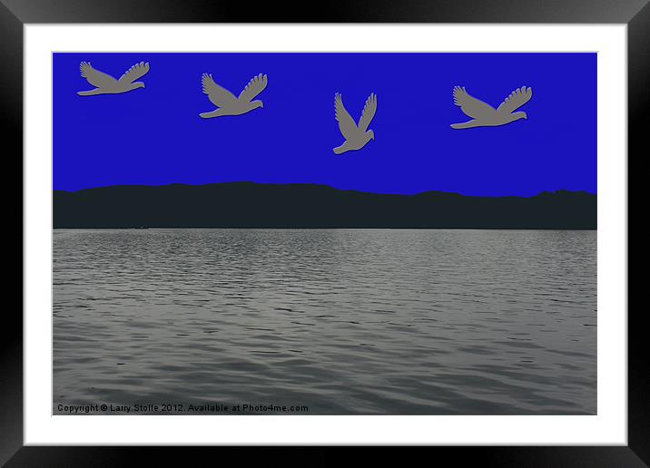 Bird Flying Over the Water Framed Mounted Print by Larry Stolle