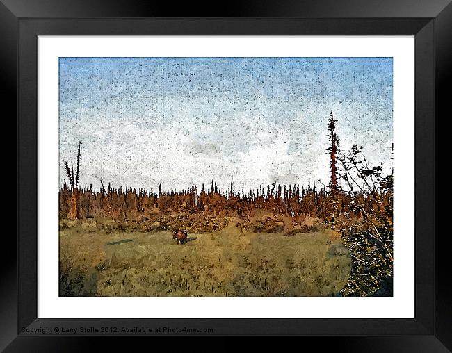 Alaska Moose Framed Print by Larry Stolle