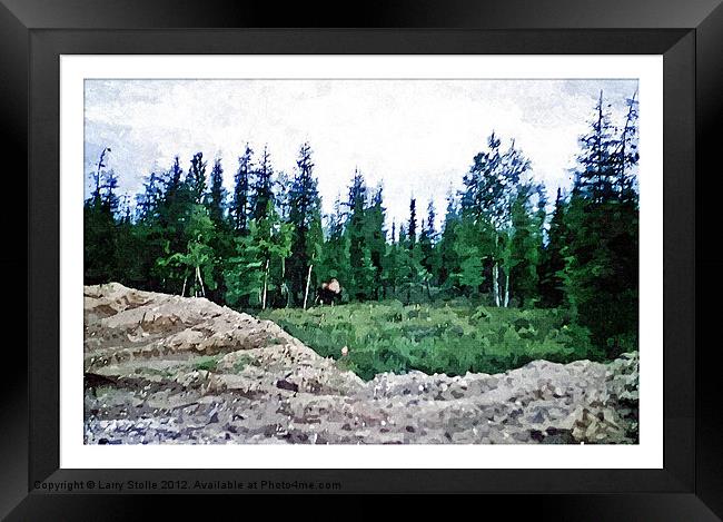 Moose in Alaska Framed Print by Larry Stolle