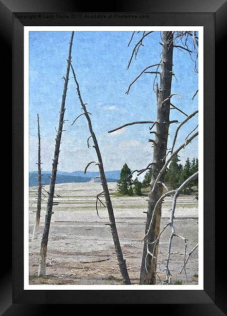 Yellowstone Park Framed Print by Larry Stolle