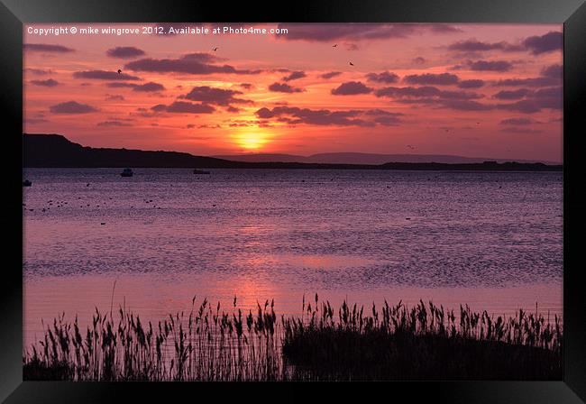 Sunset in mudeford Dorset Framed Print by mike wingrove