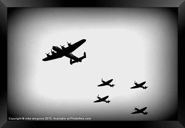 Queens Flight Framed Print by mike wingrove