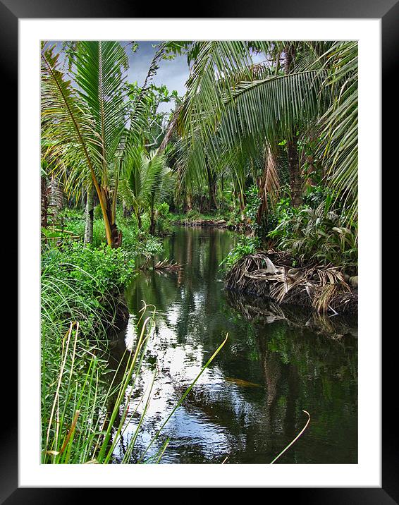 Peaceful Forest Stream Framed Mounted Print by Mark Sellers