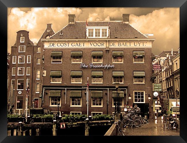 The Grasshopper Hotel -- November in Amsterdam SEP Framed Print by Mark Sellers