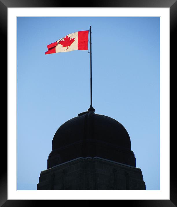 Canadian Flag (1) Framed Mounted Print by Mark Sellers