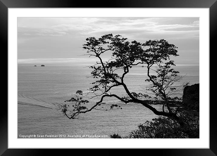 Black and White view over Flamingo Beach Framed Mounted Print by Sean Foreman