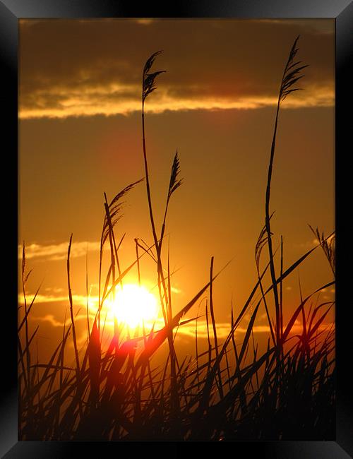 Saginaw Bay Sunset Framed Print by Connie Bunke